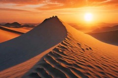 哈兰德49场欧冠50球！瓜帅：他将超C罗