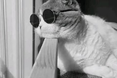 毕巴VS阿森纳：圣马梅斯的魔鬼主场不好打，枪手能否先进球很重要